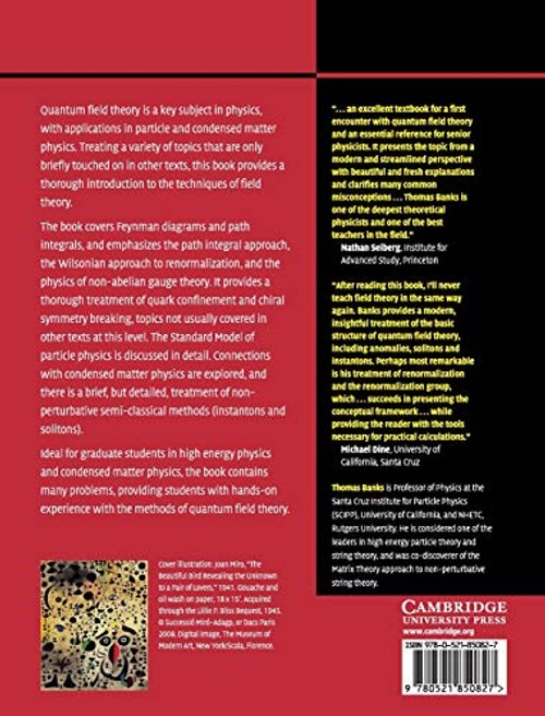 Modern Quantum Field Theory: A Concise Introduction by Tom Banks – Cambridge University Press view 3