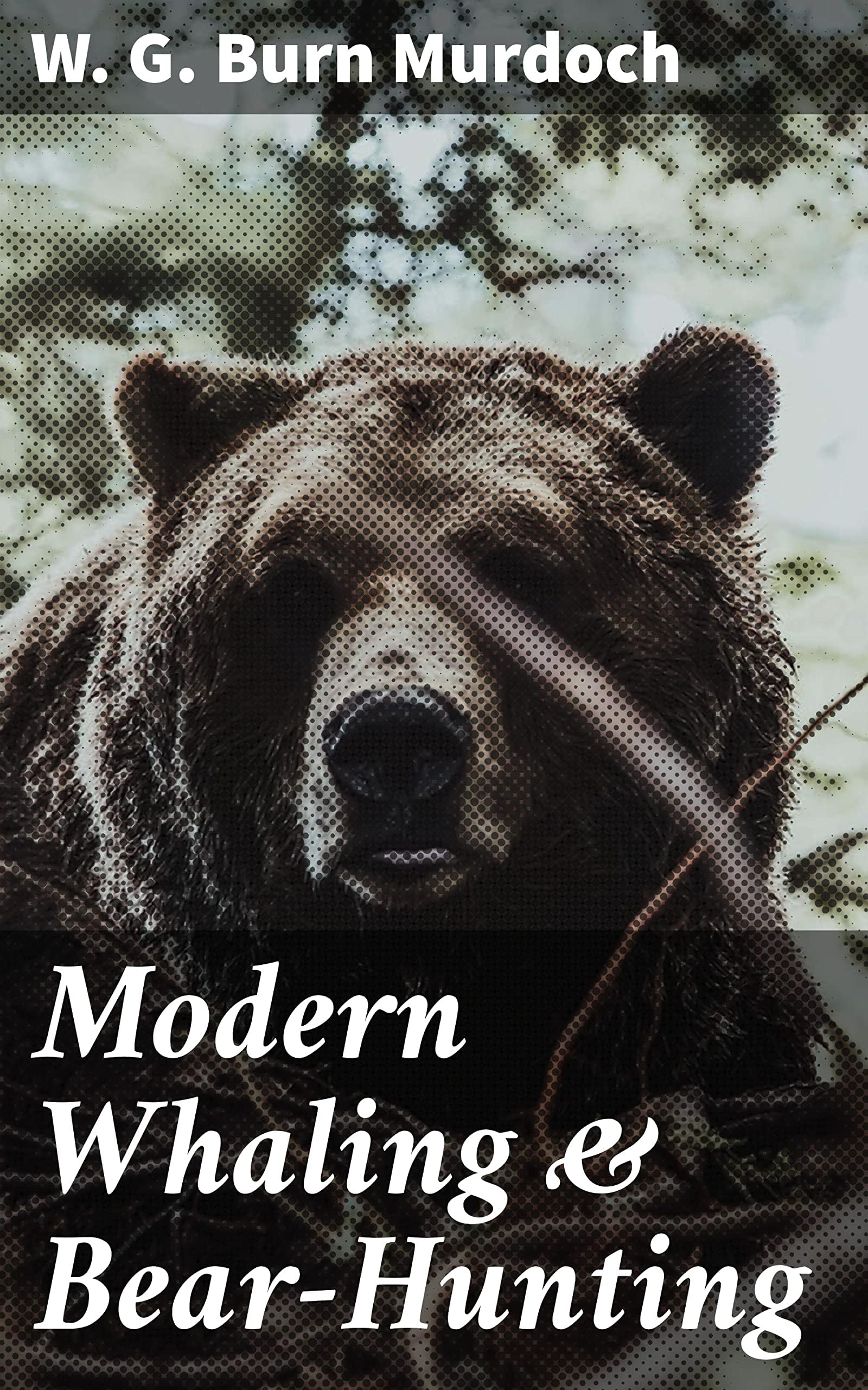 Buy Modern Whaling & Bear-Hunting — BookShops.in