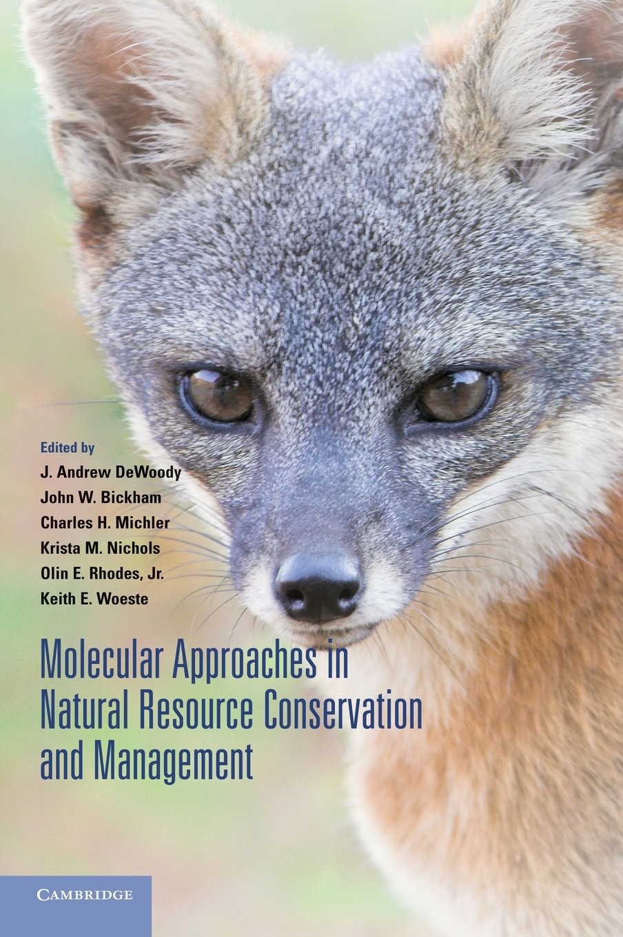 Buy Molecular Approaches in Natural Resource Conservation and Management (English, J. Andrew Dewoody | John W. Bickham | Charles H. Michler) — BookShops.in
