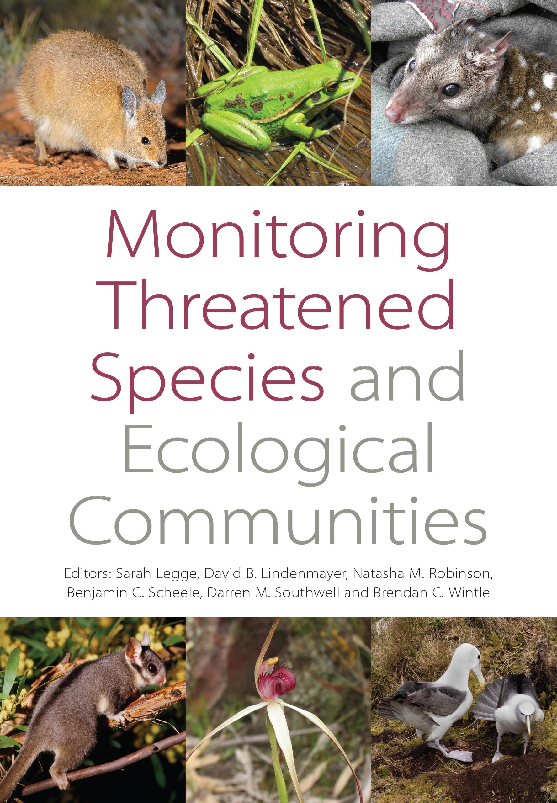 Buy Monitoring Threatened Species and Ecological Communities (English, Sarah M. Legge | David B. Lindenmayer | Natasha Robinson) — BookShops.in