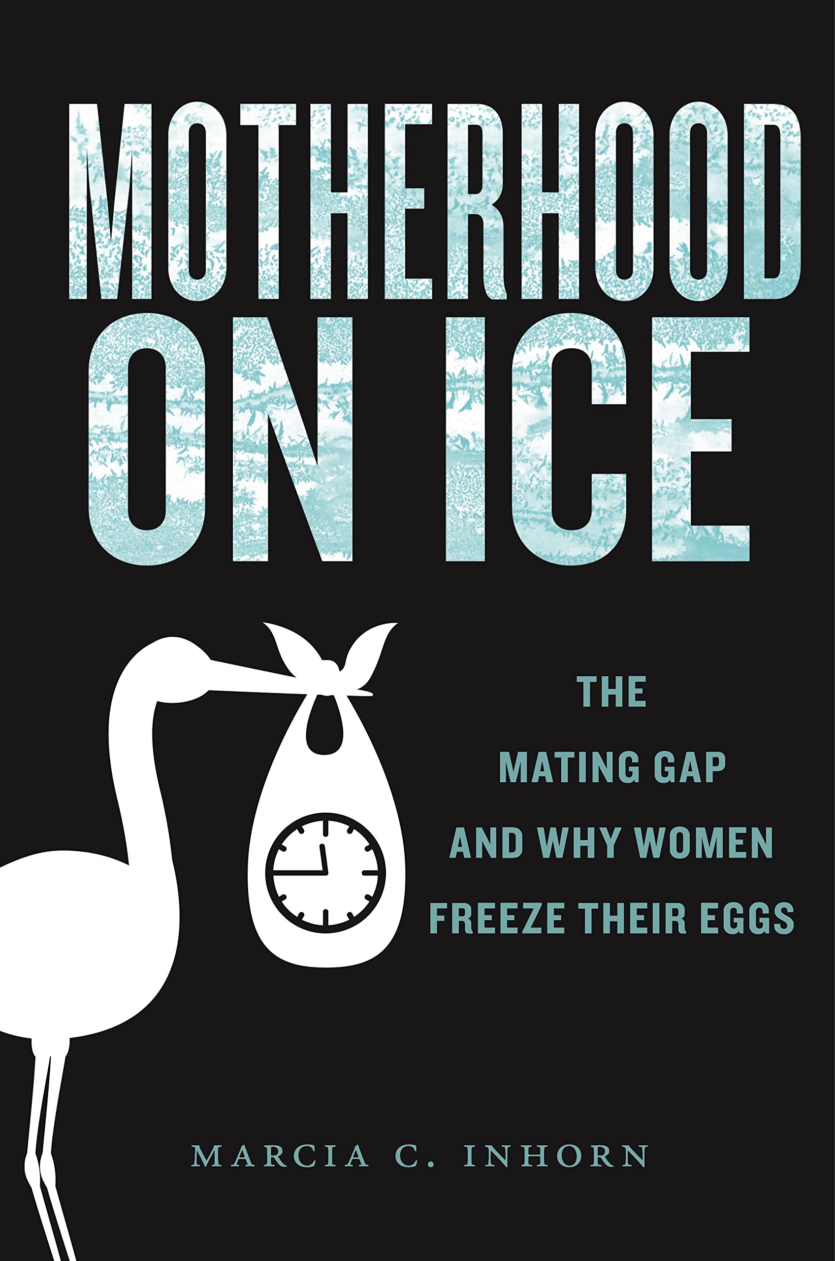 Buy Motherhood on Ice: The Mating Gap and Why Women Freeze Their Eggs: 10 (Anthropologies of American Medicine: Culture, Power, and Practice) — BookShops.in