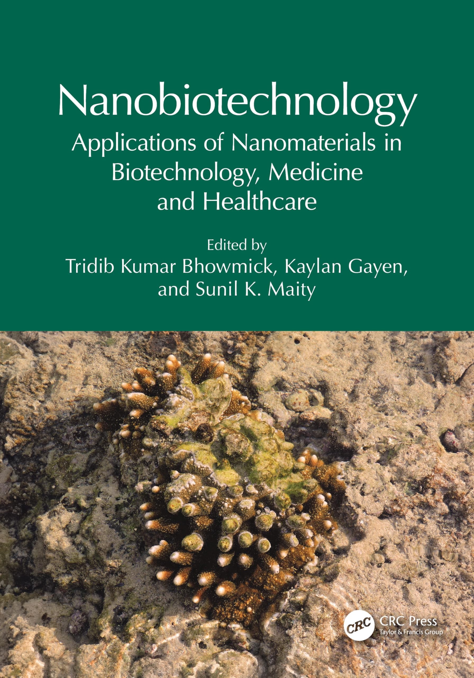 Buy Nanobiotechnology (English, Tridib Kumar Bhowmick | Kaylan Gayen | Sunil K. Maity) — BookShops.in