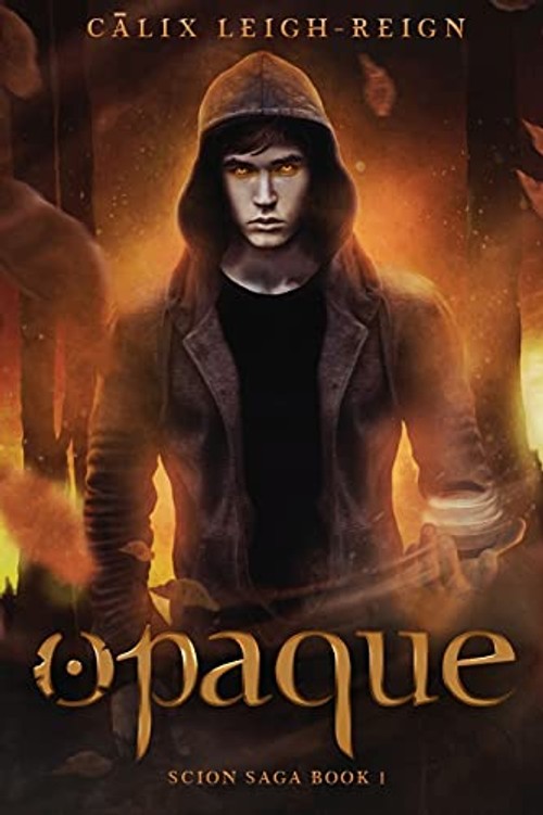 Opaque – Young Adult Supernatural Thriller Hardcover view 2