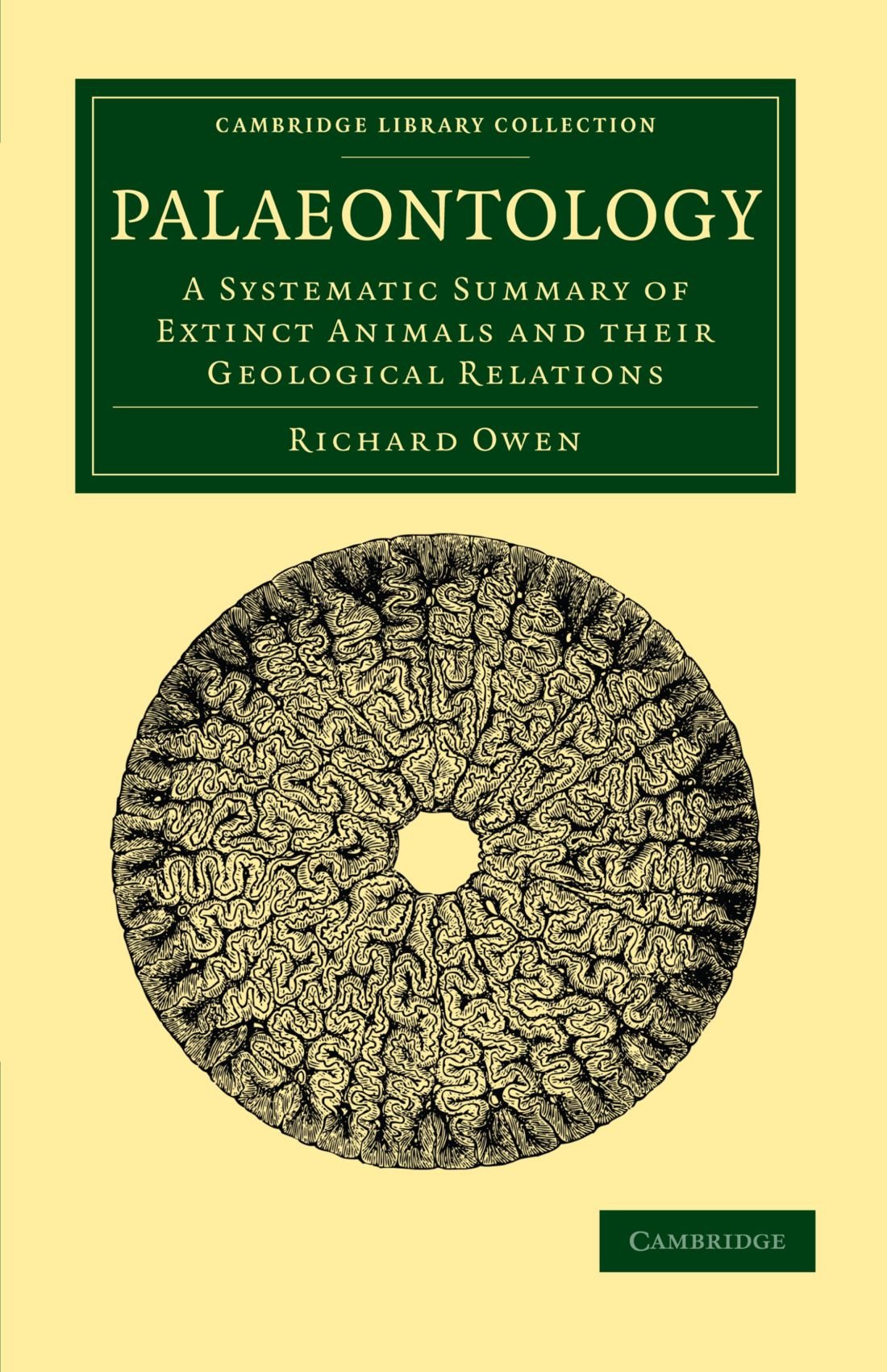 Buy Palaeontology: A Systematic Summary of Extinct Animals and their Geological Relations (Cambridge Library Collection - Earth Science) — BookShops.in