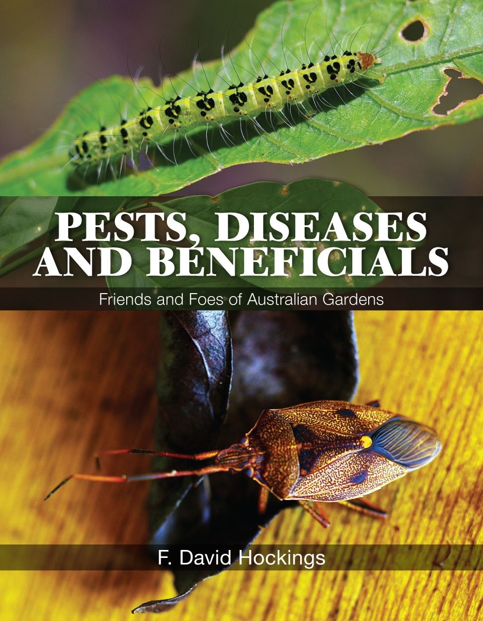 Buy Pests, Diseases and Beneficials (English, F. David Hockings) — BookShops.in