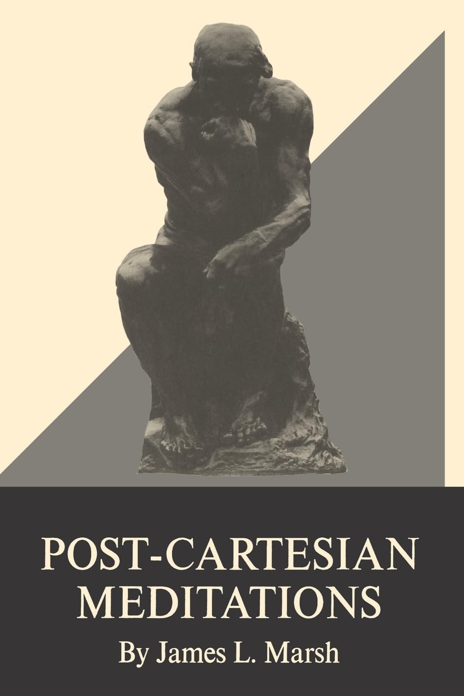 Buy Post-Cartesian Meditations by James L. Marsh — BookShops.in