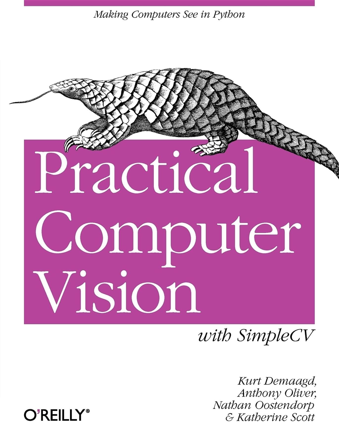 Buy Practical Computer Vision with SimpleCV by Kurt Demaagd — BookShops.in