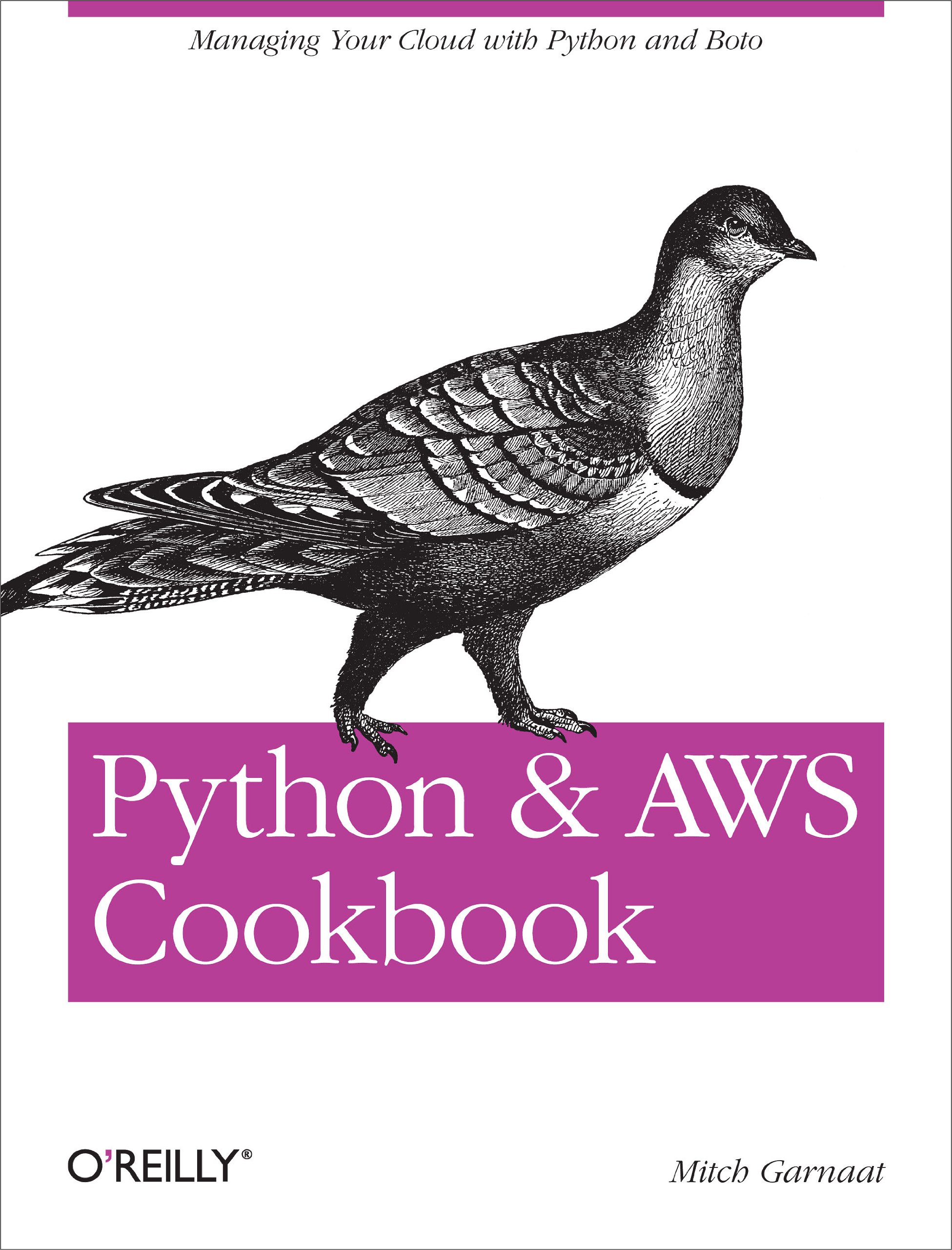 Buy Python and AWS Cookbook by Mitch Garnaat — BookShops.in