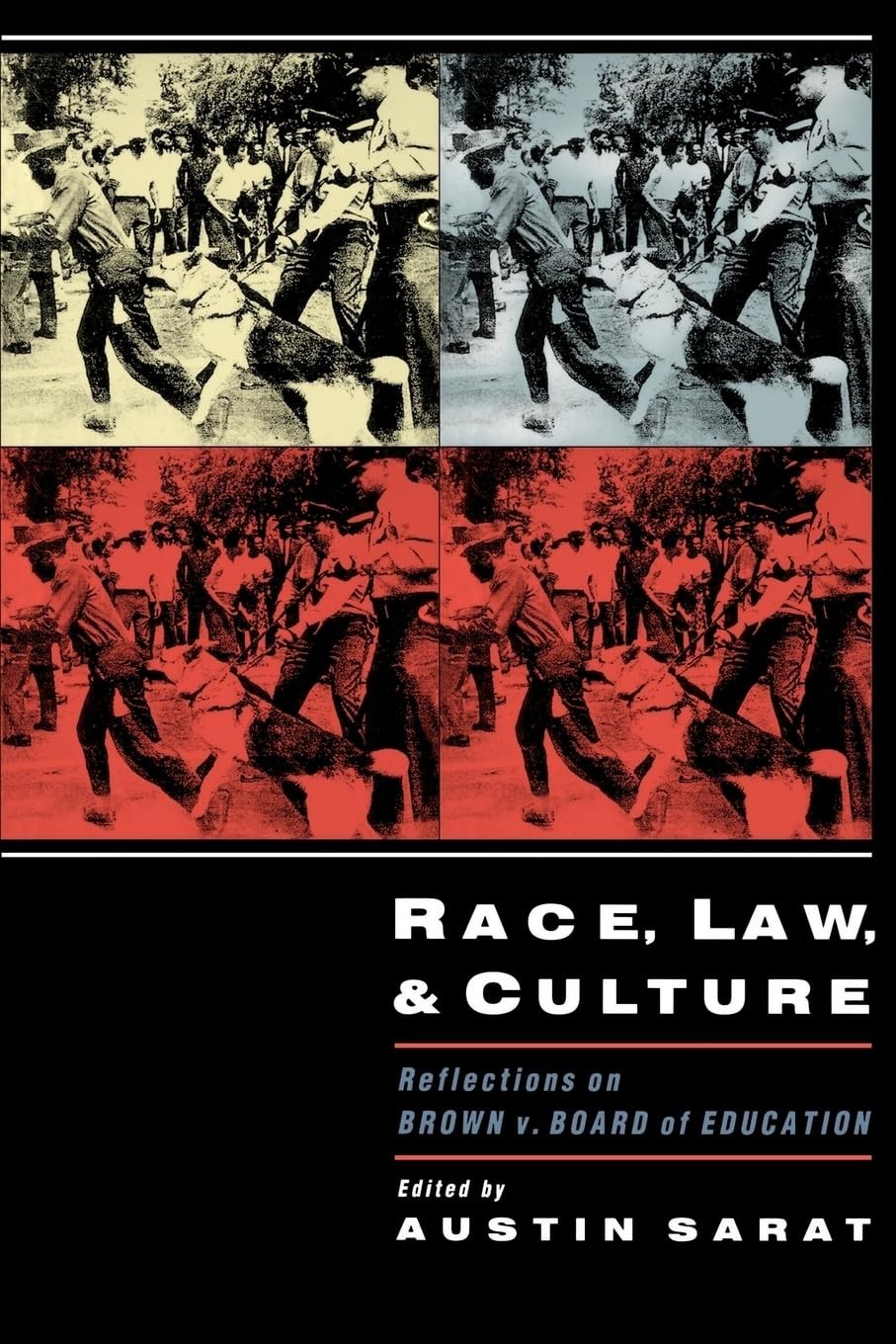 Buy Race, Law, and Culture (English, Austin Sarat) — BookShops.in