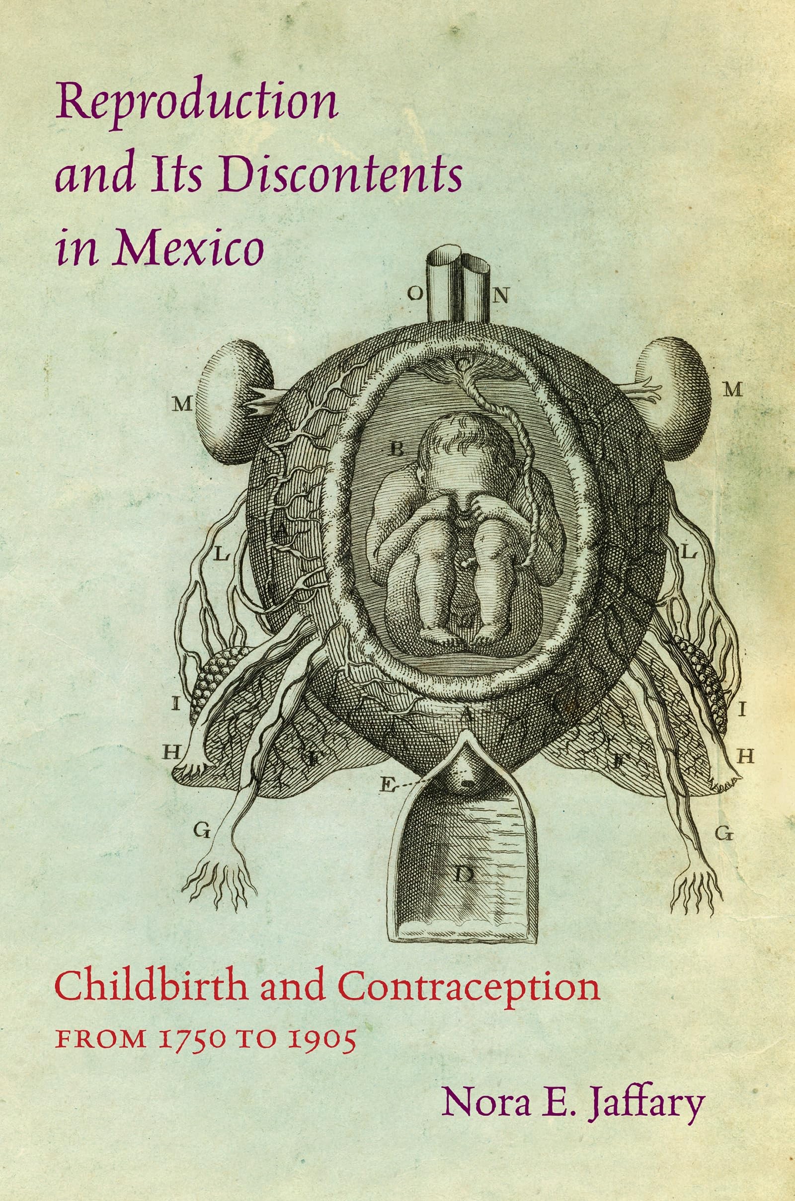 Buy Reproduction and Its Discontents in Mexico by Nora E. Jaffar — BookShops.in