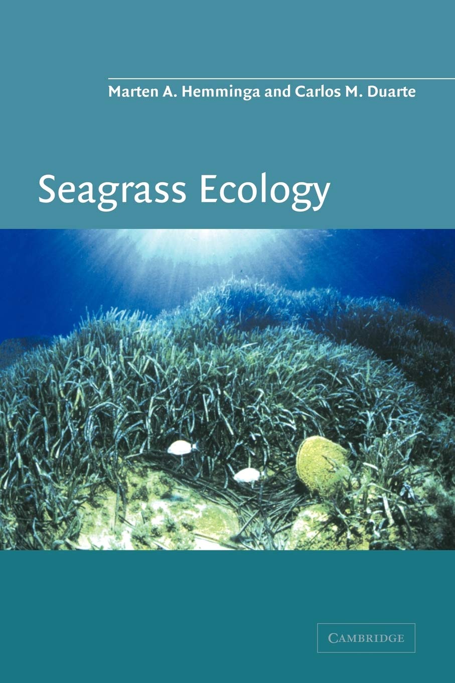 Buy Seagrass Ecology by Marten A. Hemminga – Marine Biology — BookShops.in