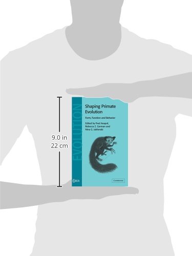 Shaping Primate Evolution: Form, Function, and Behavior: 40 (Cambridge Studies in Biological and Evolutionary Anthropology, Series Number 40) view 4