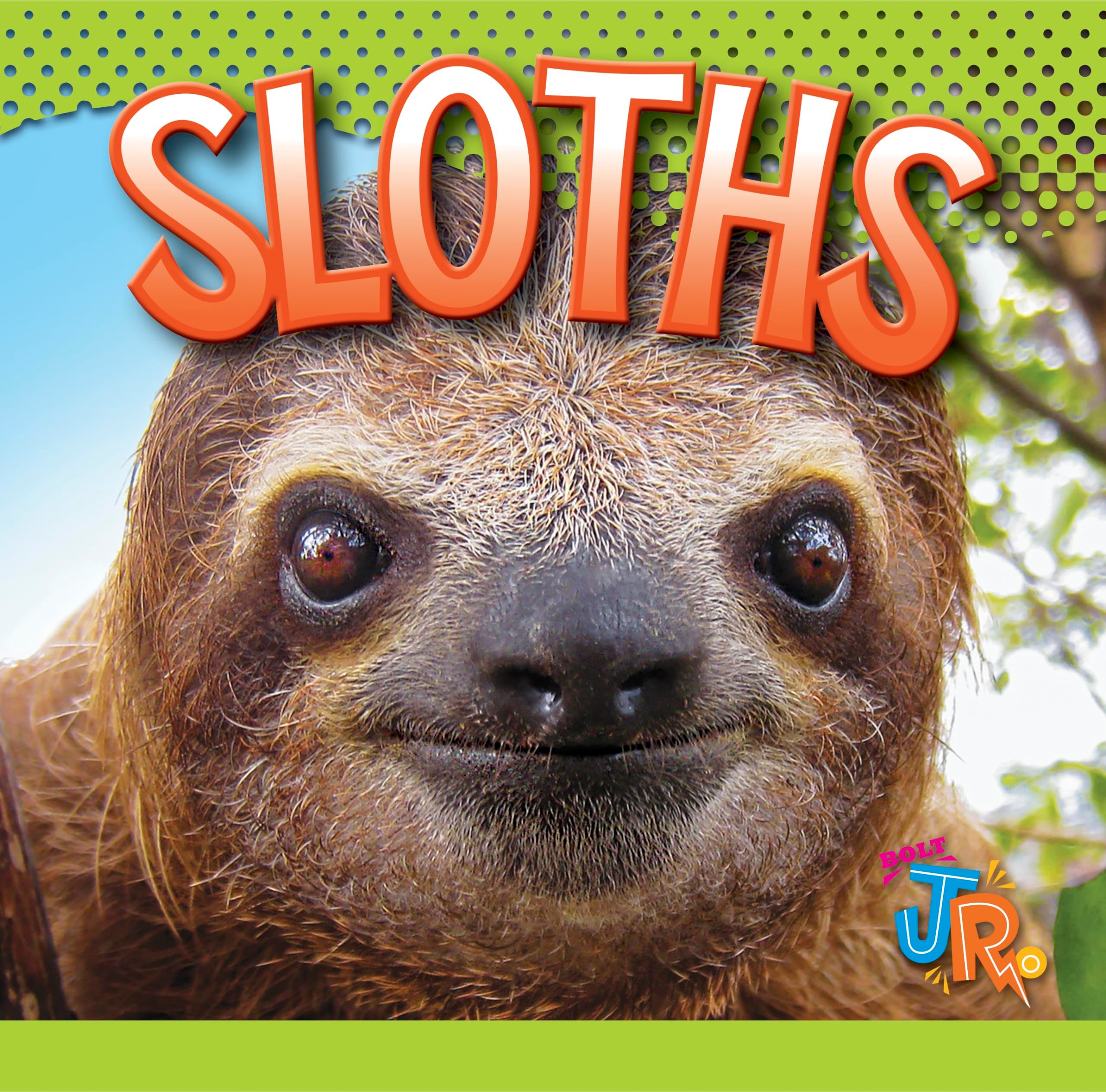 Buy Sloths (English, Marysa Storm) — BookShops.in