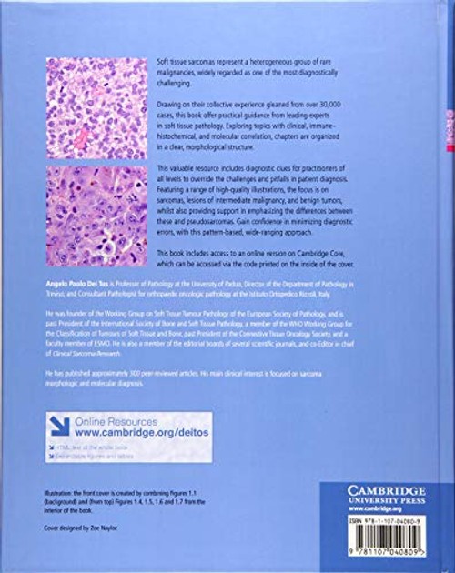 Soft Tissue Sarcomas: A Pattern-Based Approach to Diagnosis – Cambridge University Press view 3