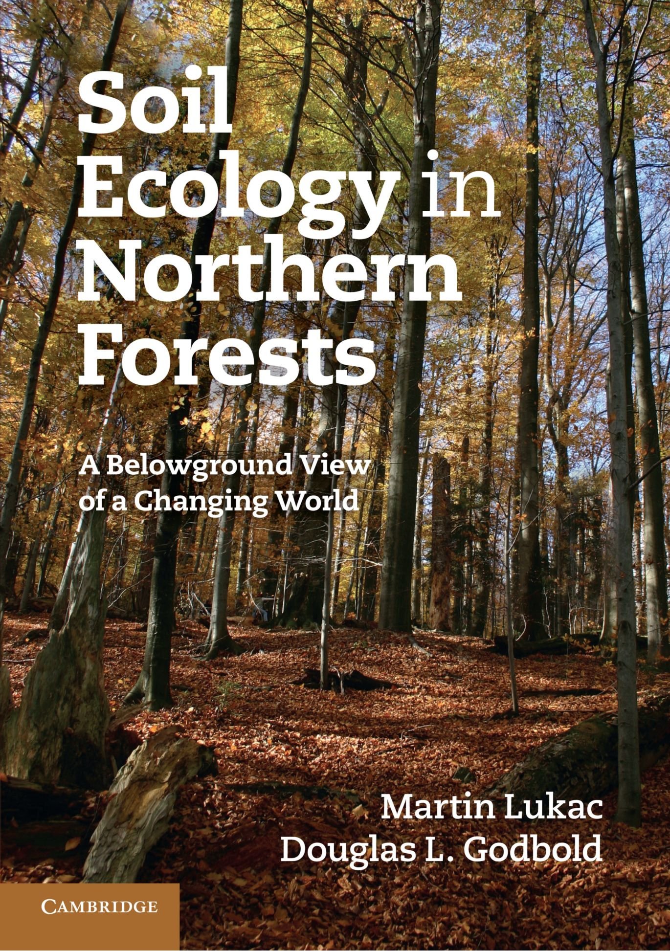 Buy Soil Ecology in Northern Forests by Martin Lukac — BookShops.in