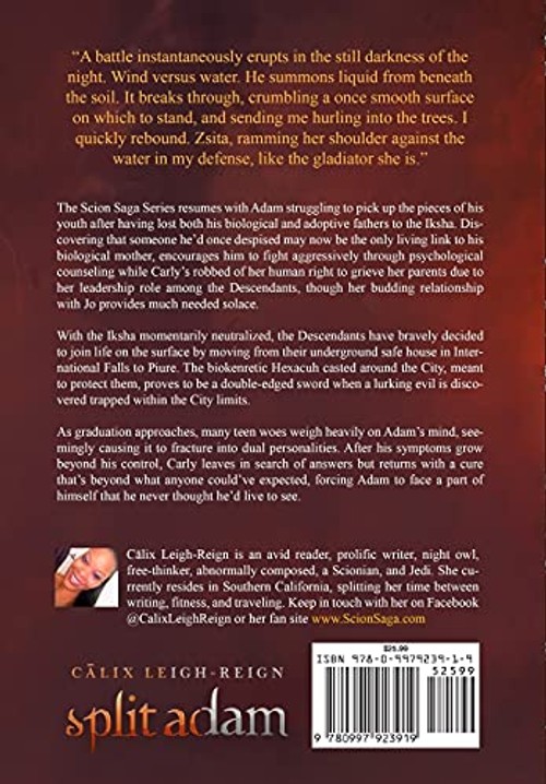 Split Adam: Scion Saga – Young Adult Urban Fantasy Novel view 3