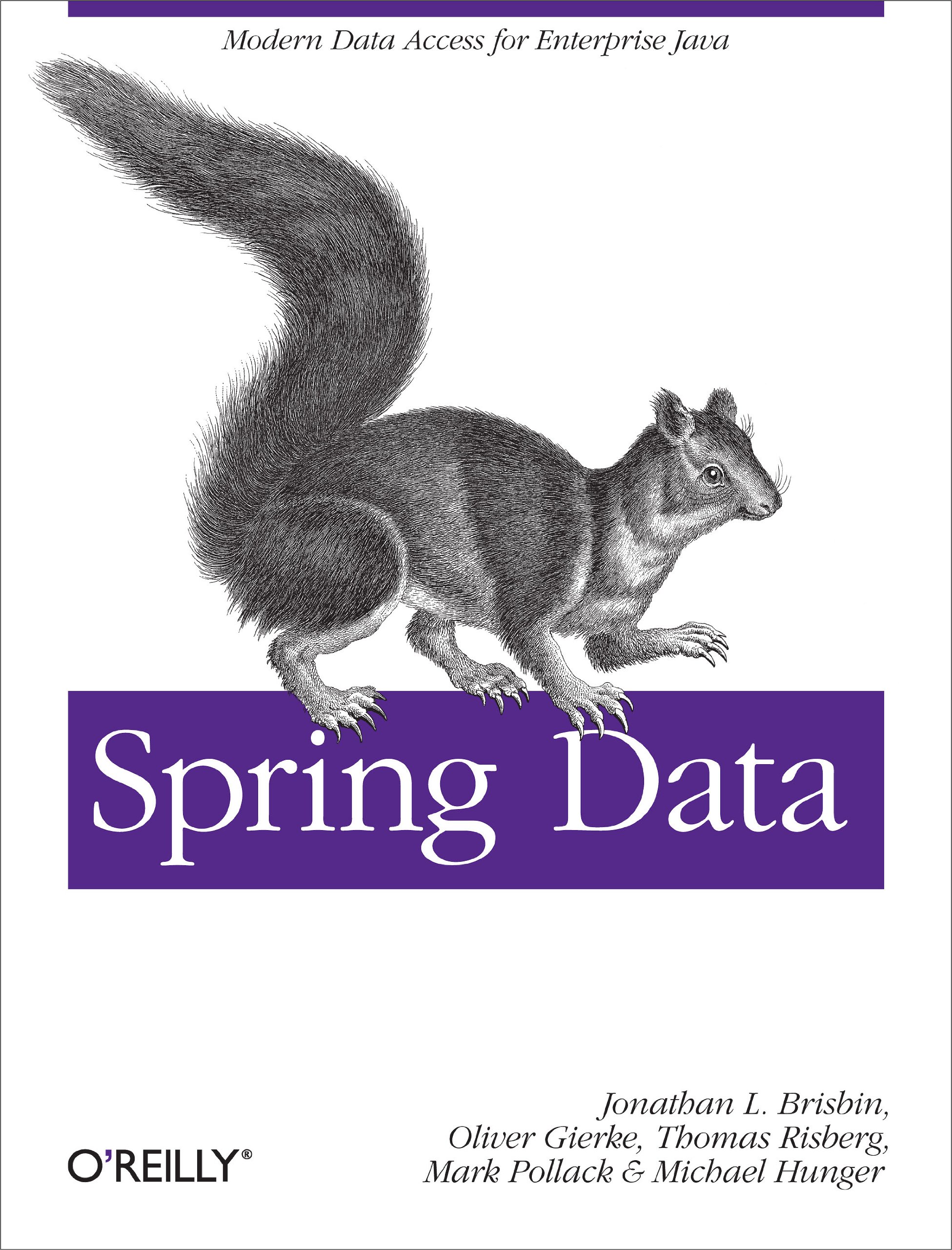 Buy Spring Data: Modern Data Access for Enterprise Java — BookShops.in