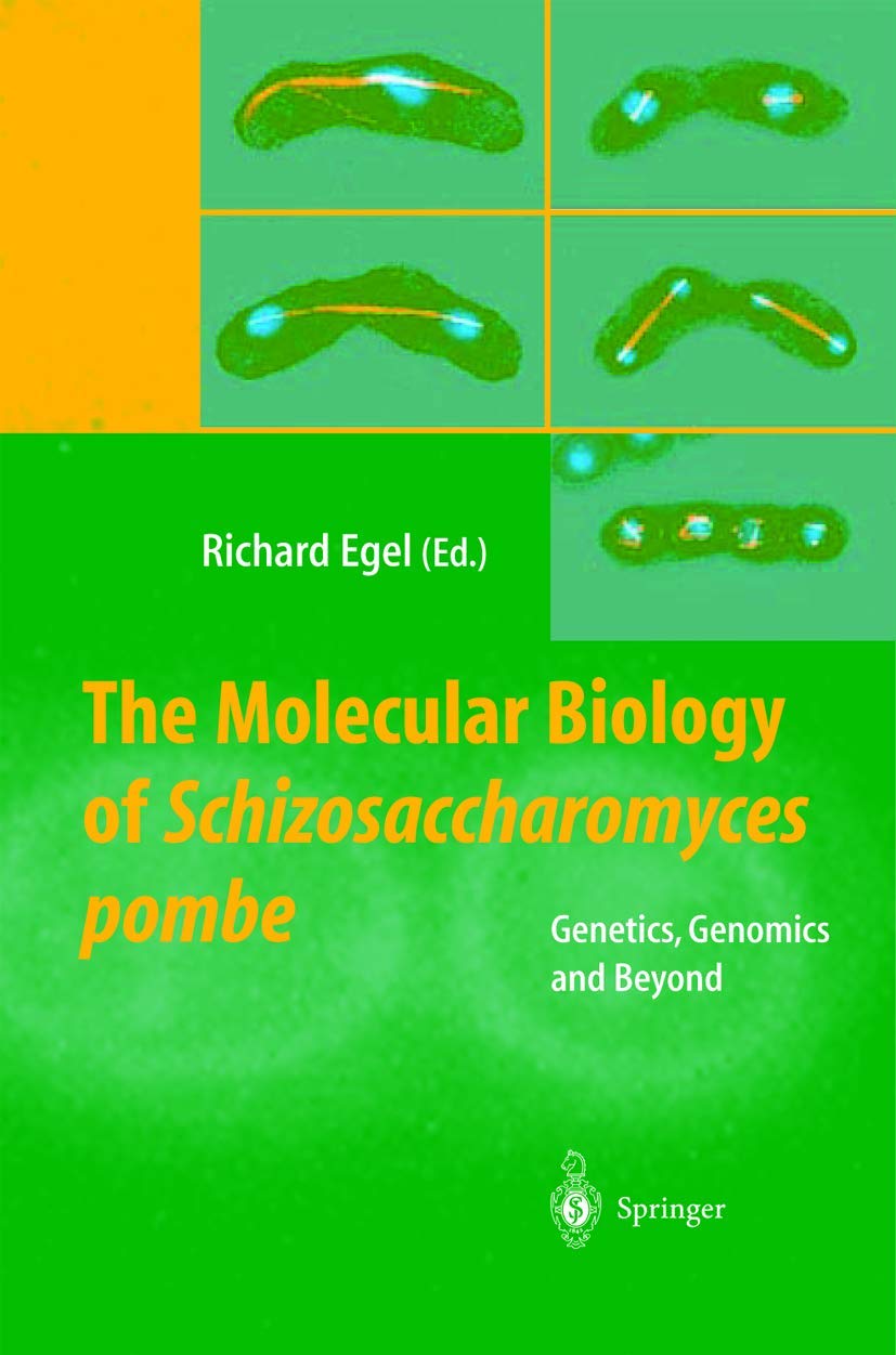 Buy Molecular Biology of Schizosaccharomyces pombe by Egel — BookShops.in
