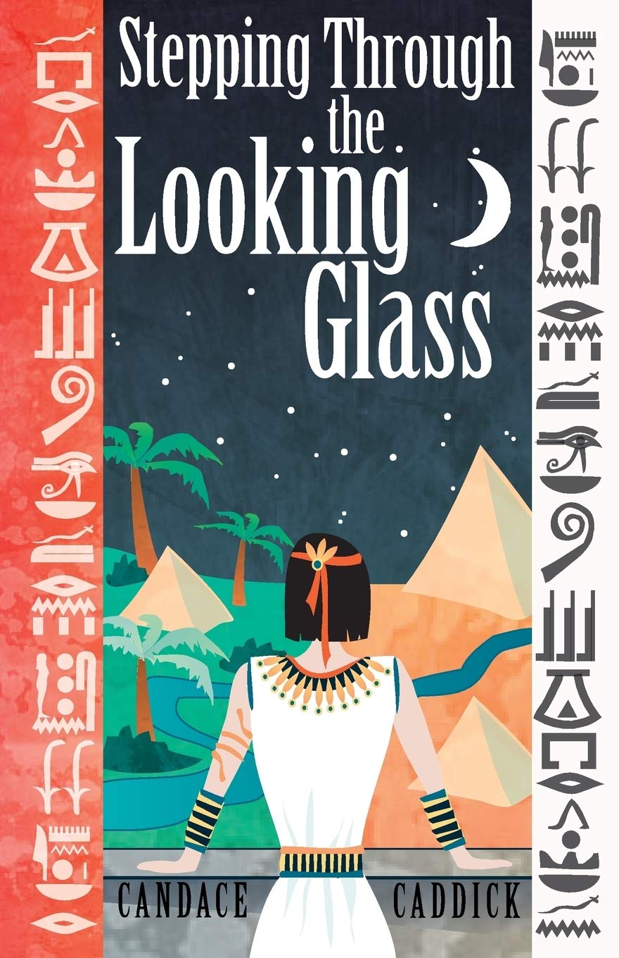 Buy Stepping Through the Looking Glass: Life on the Other Side b — BookShops.in