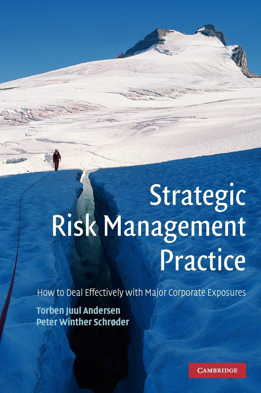 Buy Strategic Risk Management Practice by Torben Juul Andersen — BookShops.in