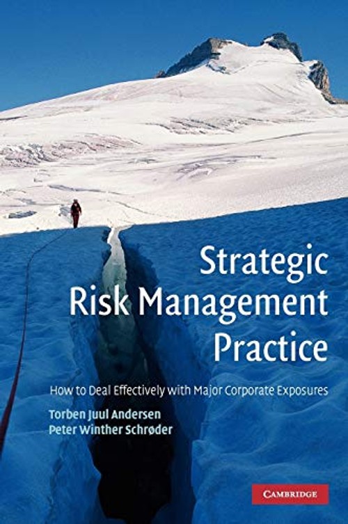 Strategic Risk Management Practice – Torben Juul Andersen view 2