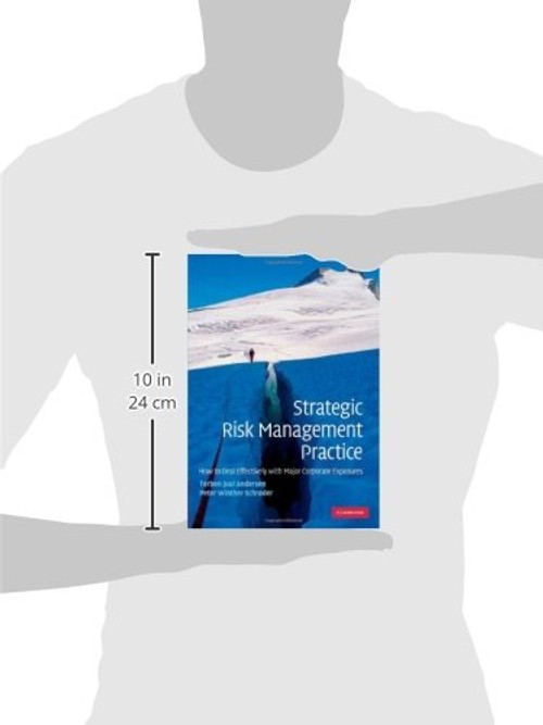 Strategic Risk Management Practice – Torben Juul Andersen view 4