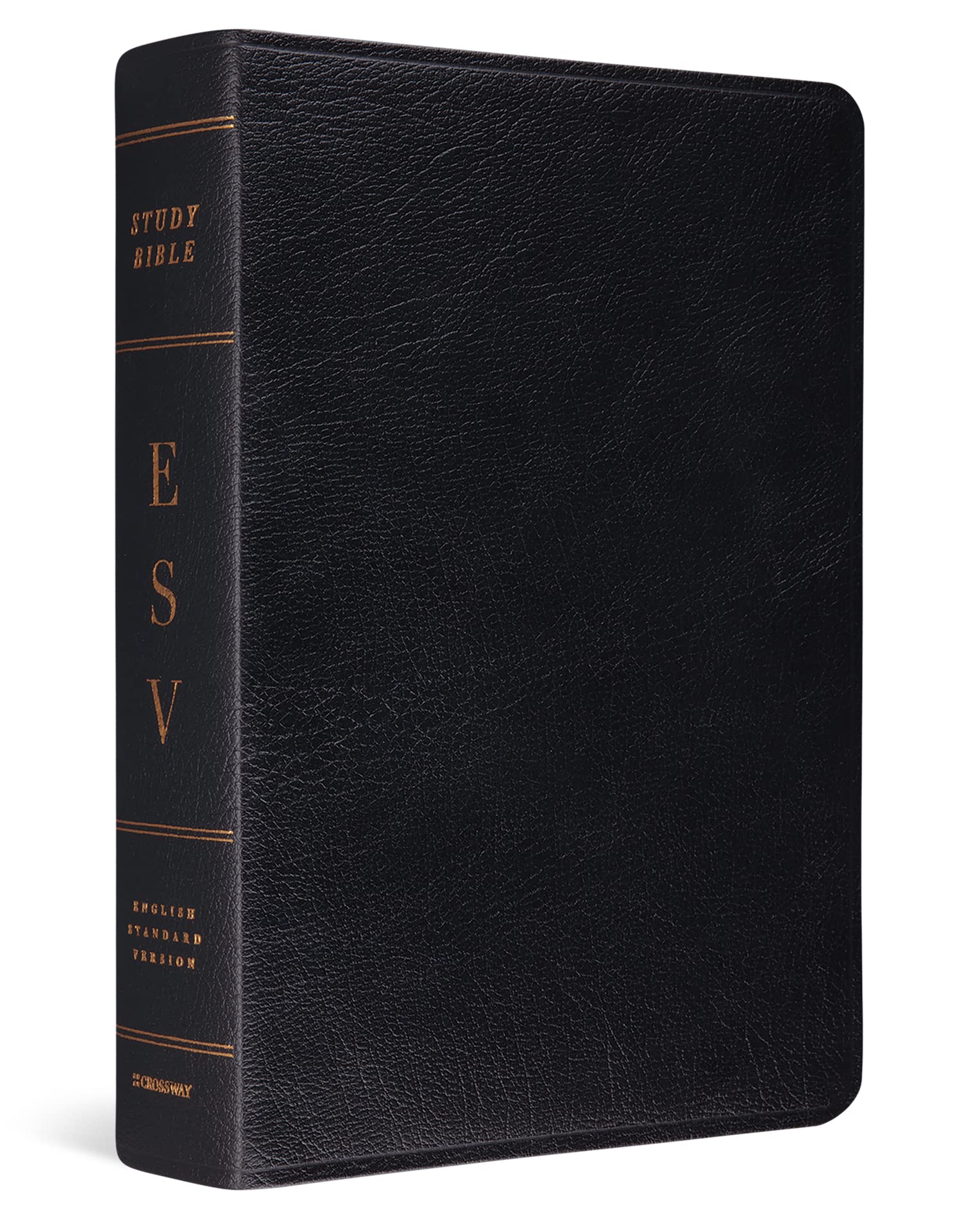 Buy ESV Study Bible by Crossway Bibles – Bible Study — BookShops.in