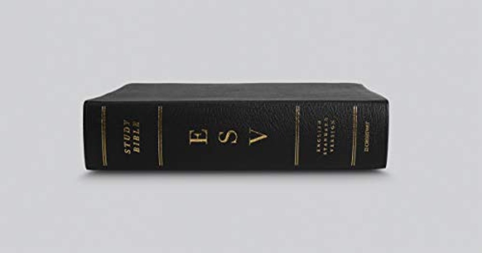 ESV Study Bible – English Standard Version Black Genuine Leather view 3