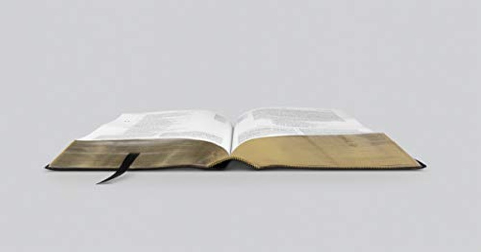 ESV Study Bible – English Standard Version Black Genuine Leather view 4