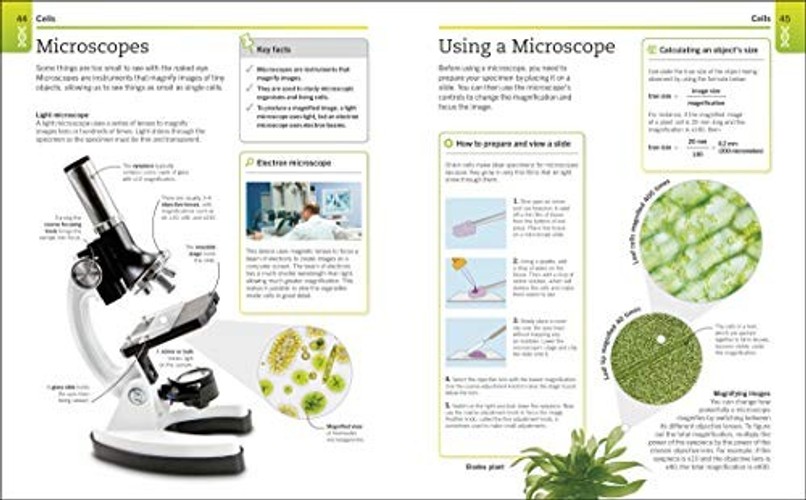 SuperSimple Biology: The Ultimate Bitesize Study Guide by DK view 6