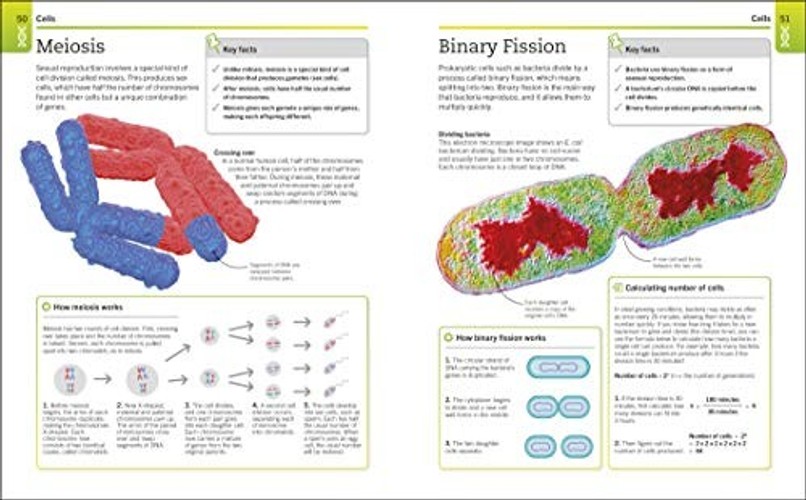SuperSimple Biology: The Ultimate Bitesize Study Guide by DK view 7