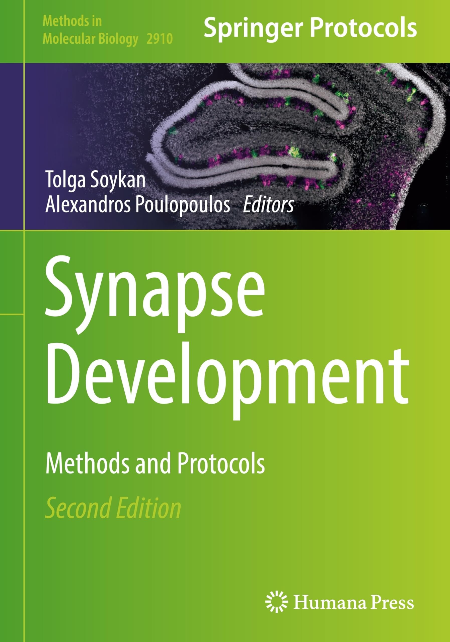 Buy Synapse Development (English, Tolga Soykan | Alexandros Poulopoulos) — BookShops.in