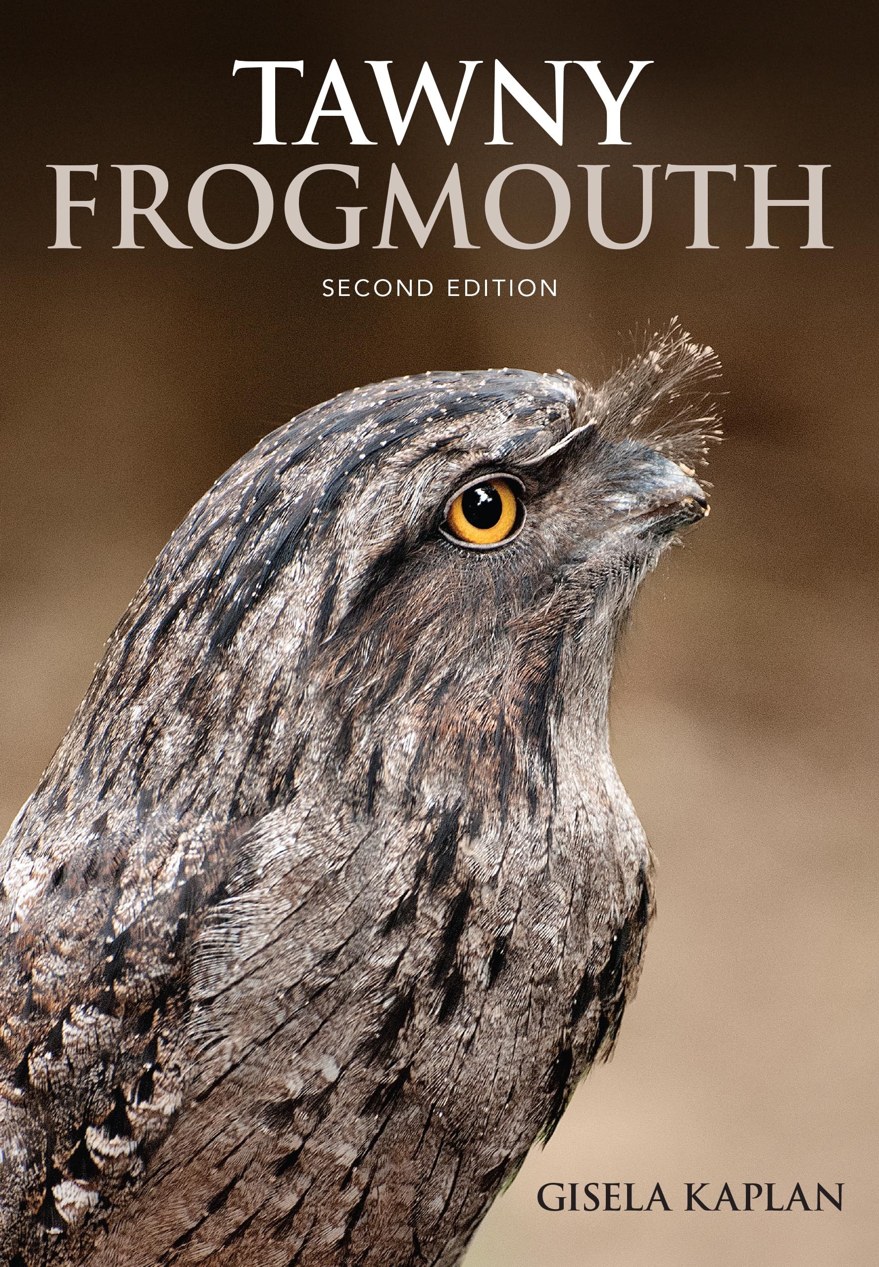 Buy Tawny Frogmouth (English, Gisela Kaplan) — BookShops.in