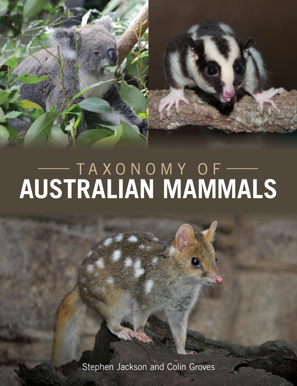 Buy Taxonomy of Australian Mammals (English, Stephen Jackson | Colin Groves) — BookShops.in