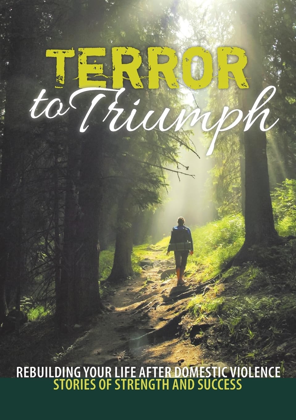 Buy Terror to Triumph: Rebuilding Your Life After Domestic Violence - Stories of Strength and Success: 2 (Broken to Brilliant) — BookShops.in