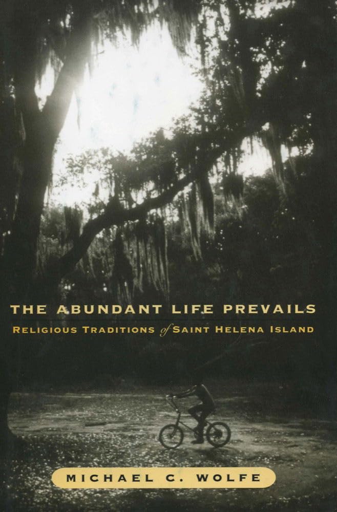 Buy The Abundant Life Prevails: Religious Traditions on Saint He — BookShops.in