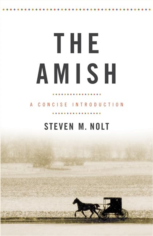 Buy The Amish: A Concise Introduction by Steven M. Nolt — BookShops.in