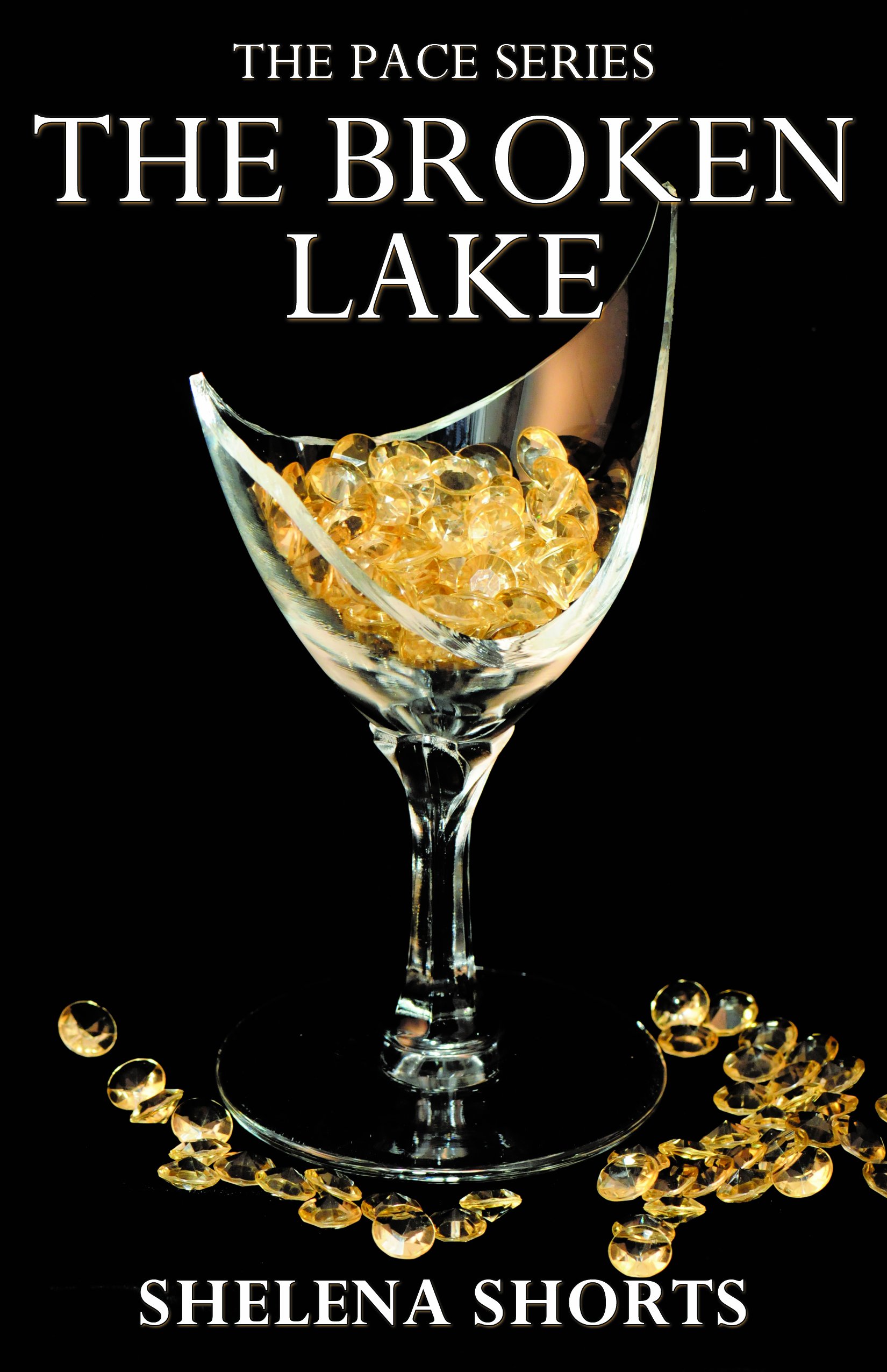 Buy The Broken Lake by Shelena Shorts — BookShops.in