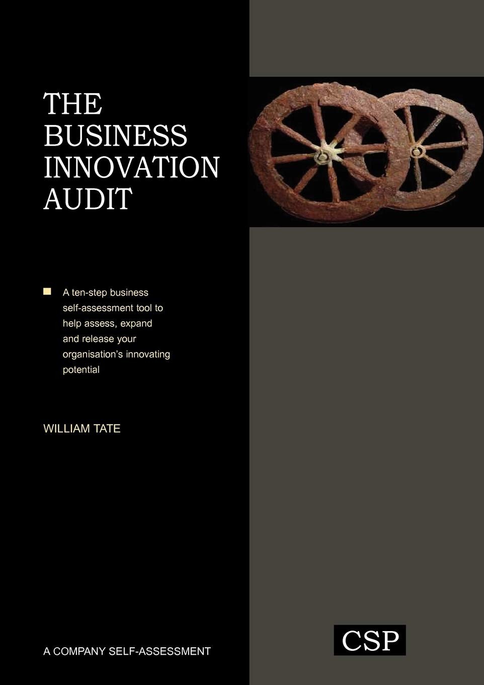 Buy The Business Innovation Audit (English, William Tate) — BookShops.in