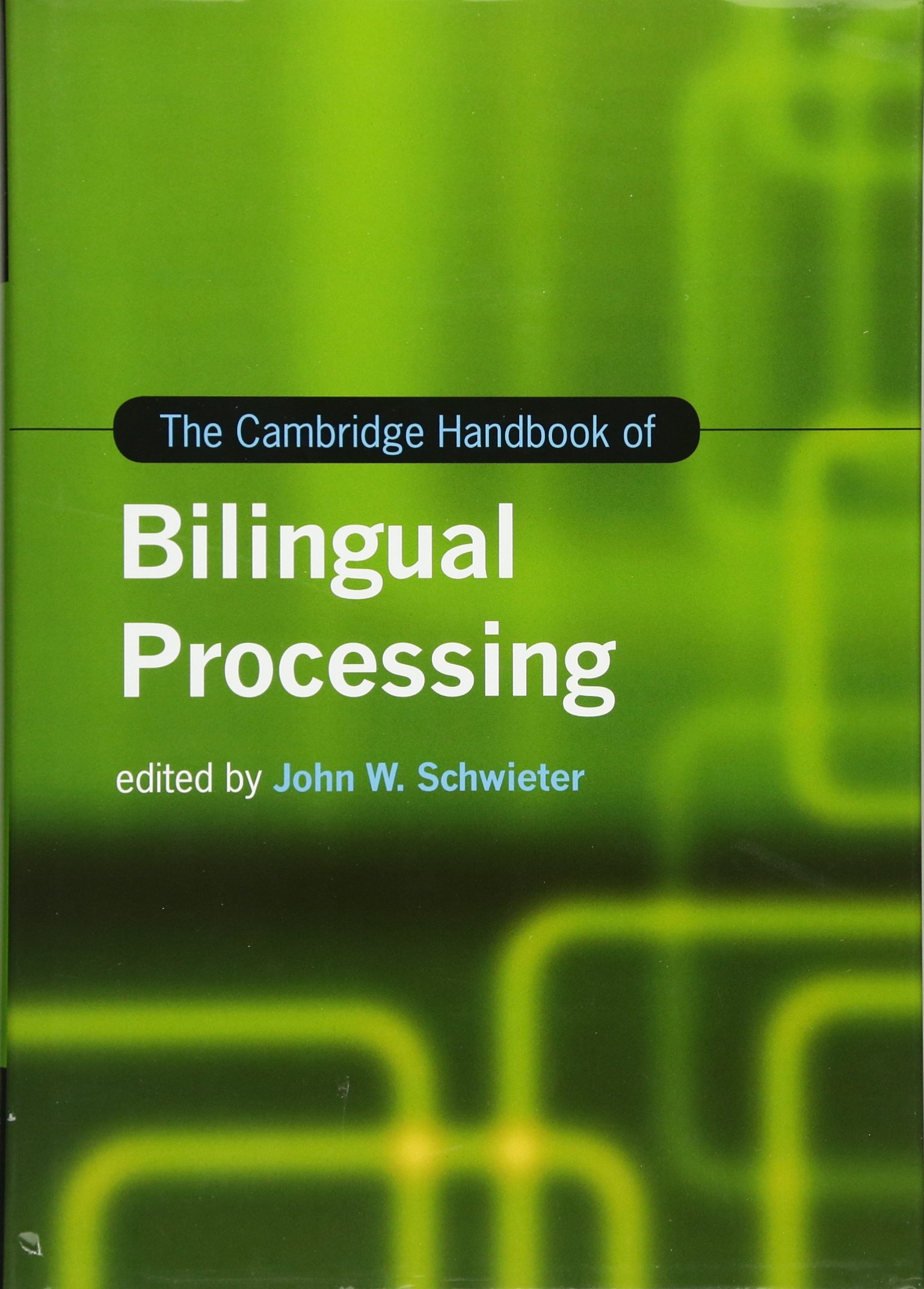 Buy The Cambridge Handbook of Bilingual Processing by John W. Sc — BookShops.in