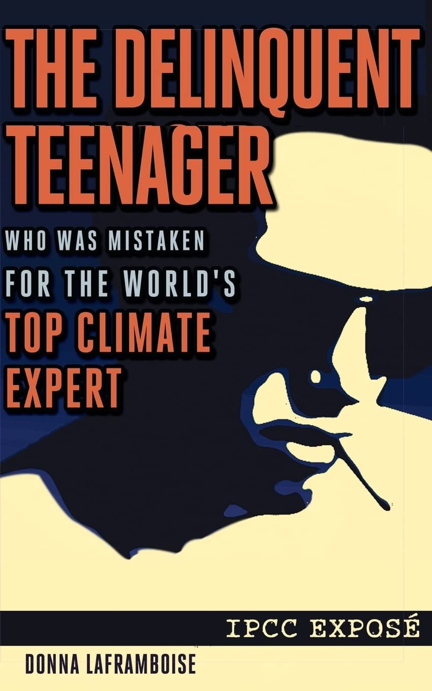 Buy The Delinquent Teenager by Donna Laframboise — BookShops.in