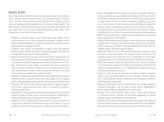 The Modern Guide to Witchcraft: Your Complete Guide to Witches, Covens, and Spells view 3