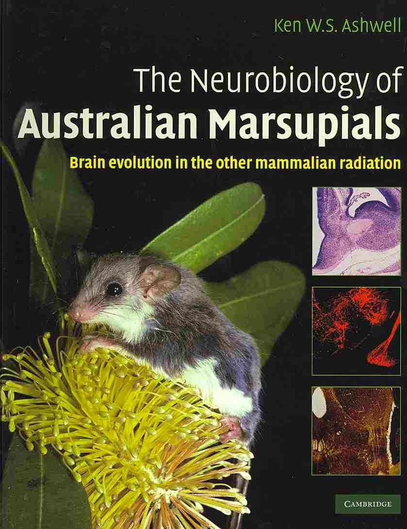 Buy Neurobiology of Australian Marsupials by Ken Ashwell — BookShops.in