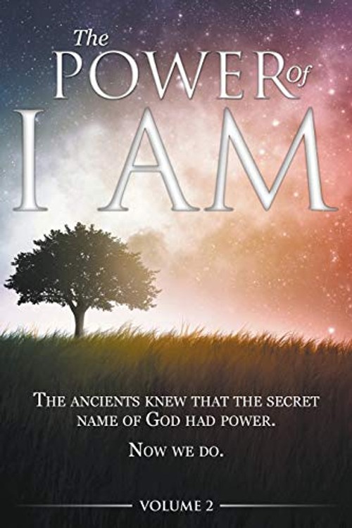 The Power of I AM – David Allen – Bookshops.in view 2