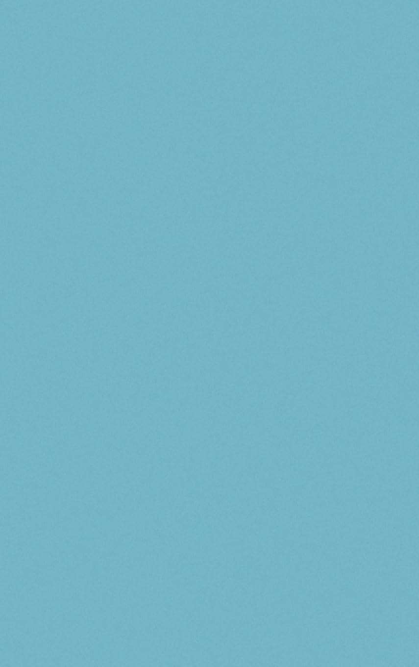 Buy The Theory of the Cost-Of-Living Index — BookShops.in