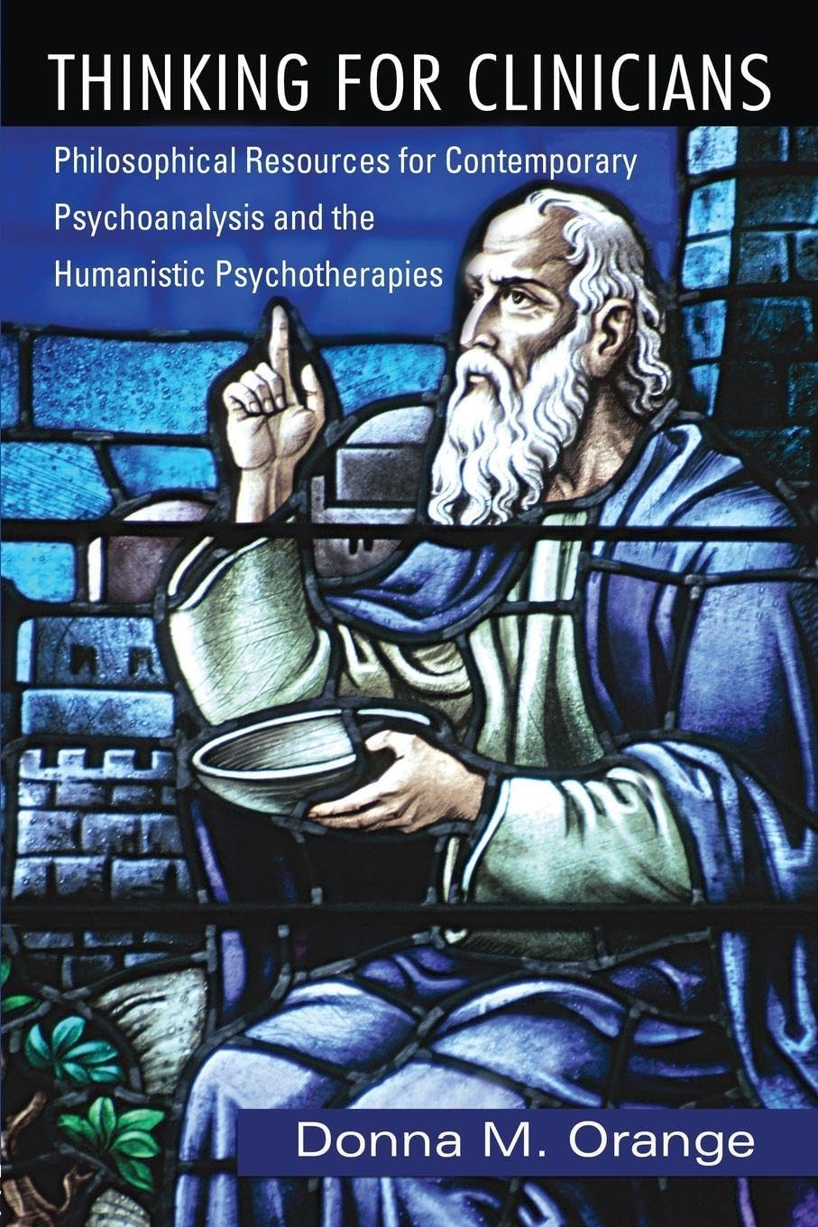 Buy Thinking for Clinicians by Donna M. Orange – Philosophical Resources for Psychoanalysis and Humanist — BookShops.in