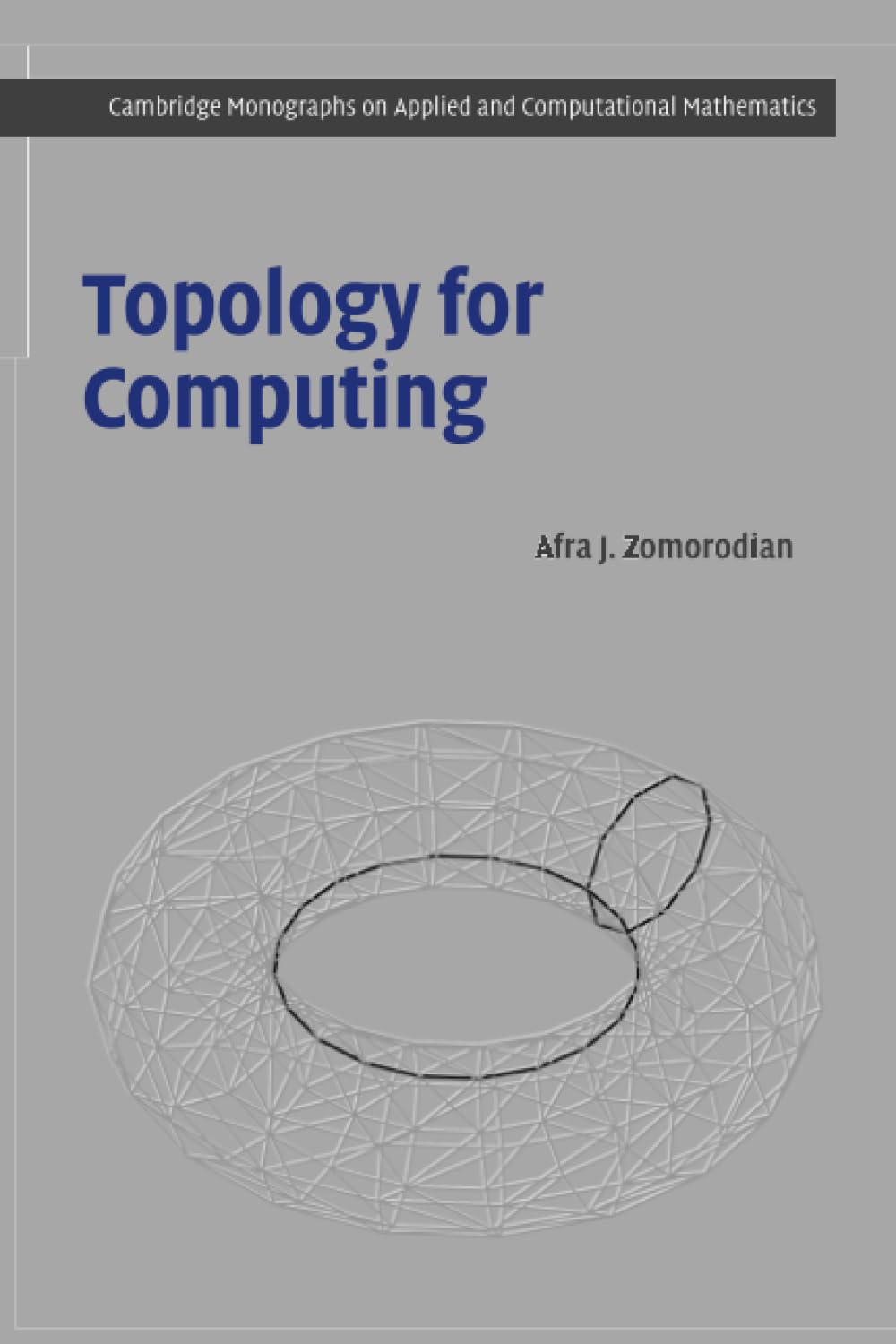 Buy Topology for Computing by Afra J. Zomorodian — BookShops.in