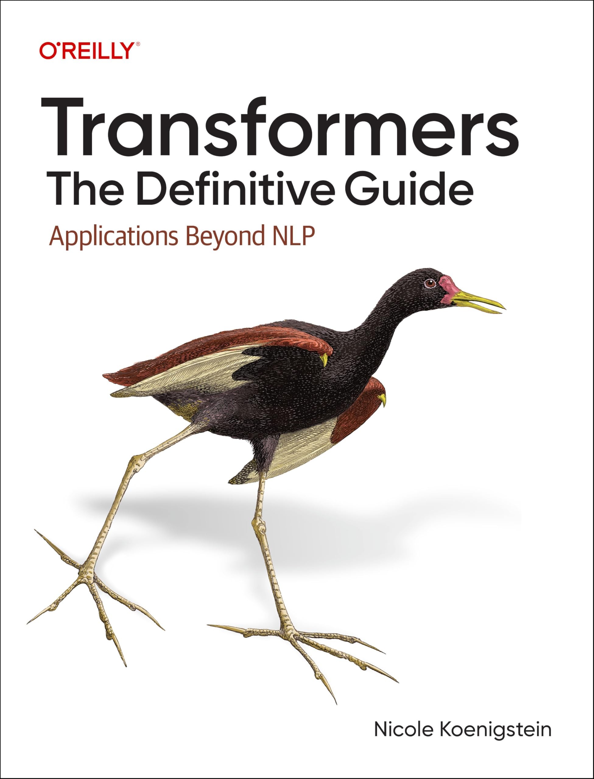 Buy Transformers (English, Nicole Koenigstein) — BookShops.in