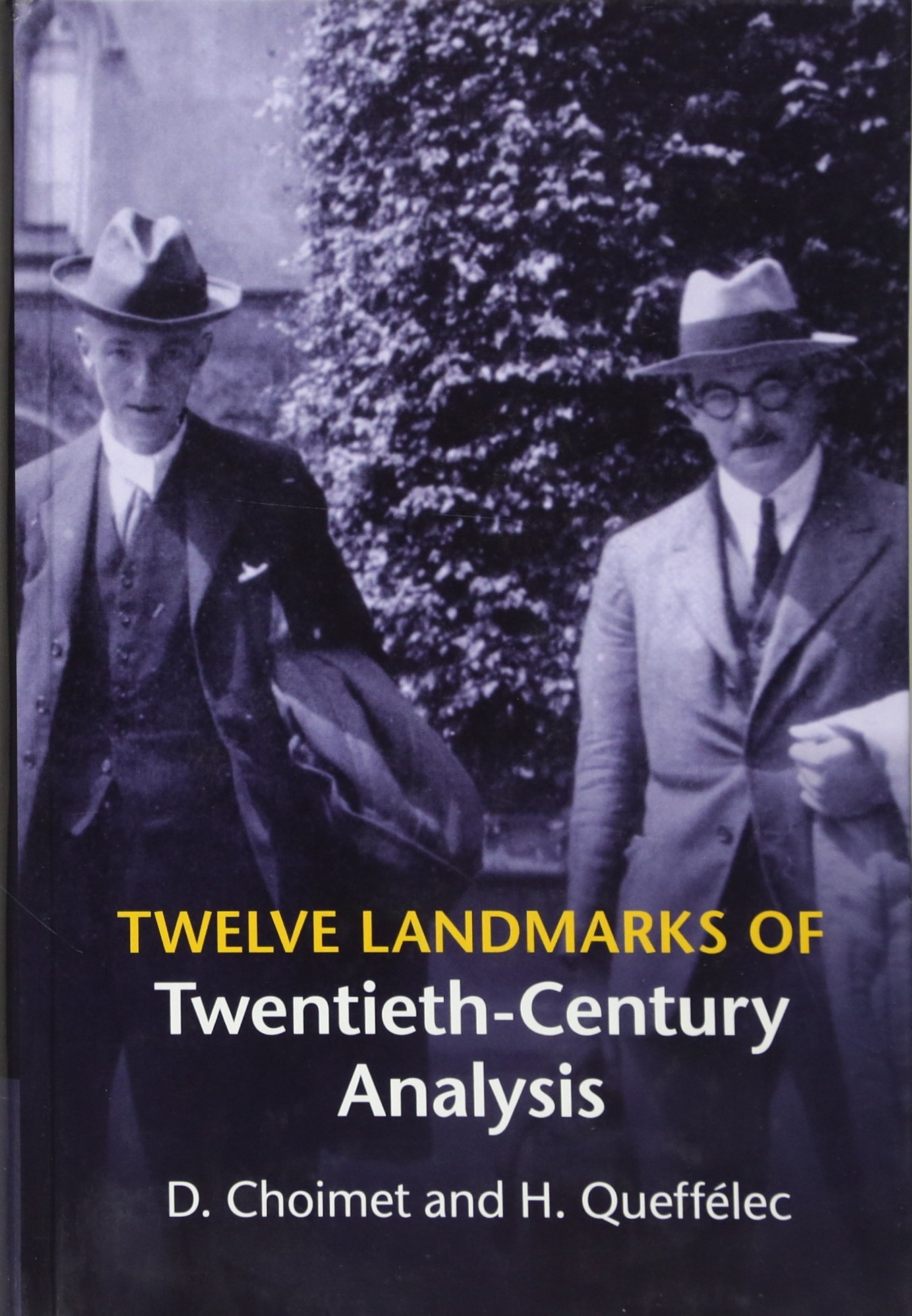 Buy Twelve Landmarks of Twentieth-Century Analysis by D. Choimet — BookShops.in