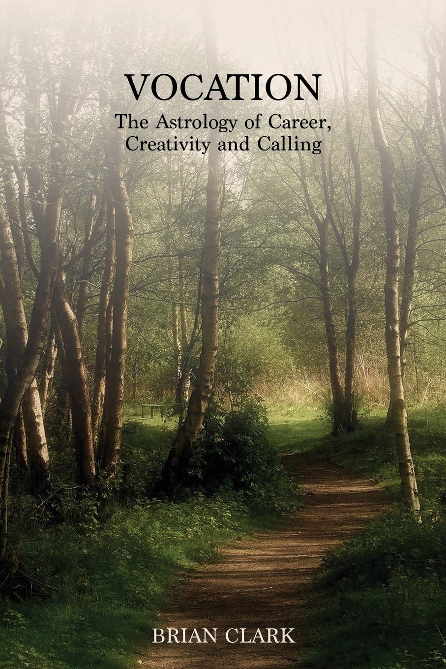 Buy Vocation: The Astrology of Career, Creativity and Calling — BookShops.in